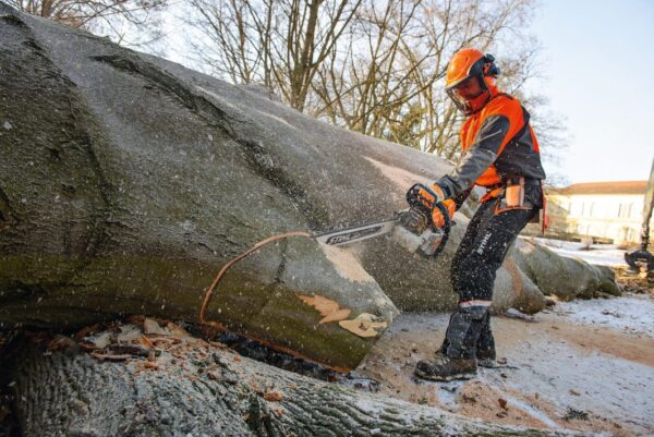 Pilarka STIHL MS 661 C-M - obrazek 2