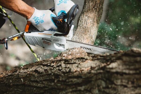 Pilarka STIHL MS 194 T - obrazek 2
