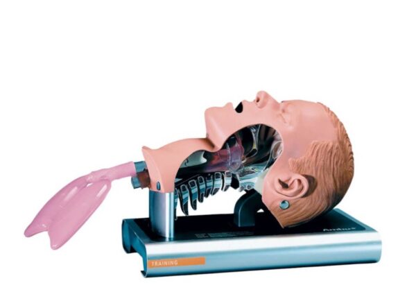Fantom głowy do nauki intubacji Ambu Airway Management Trainer