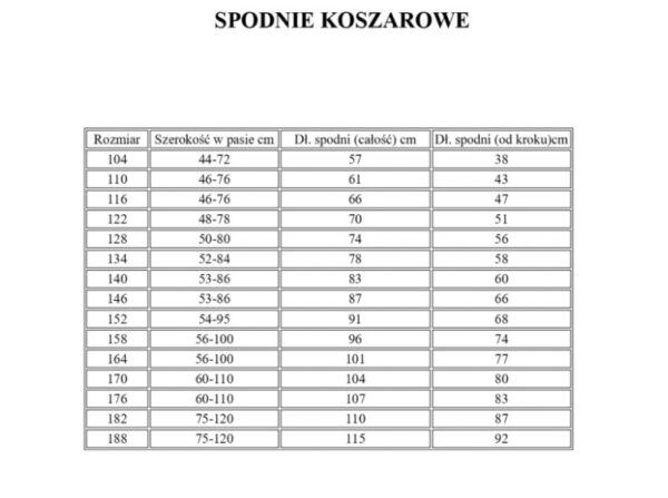 Ubranie Koszarowe MDP / DDP - Piaskowe - obrazek 3